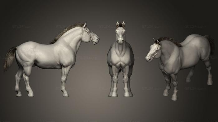 Статуэтки животных (Тягловая лошадь, STKJ_0902) 3D модель для ЧПУ станка